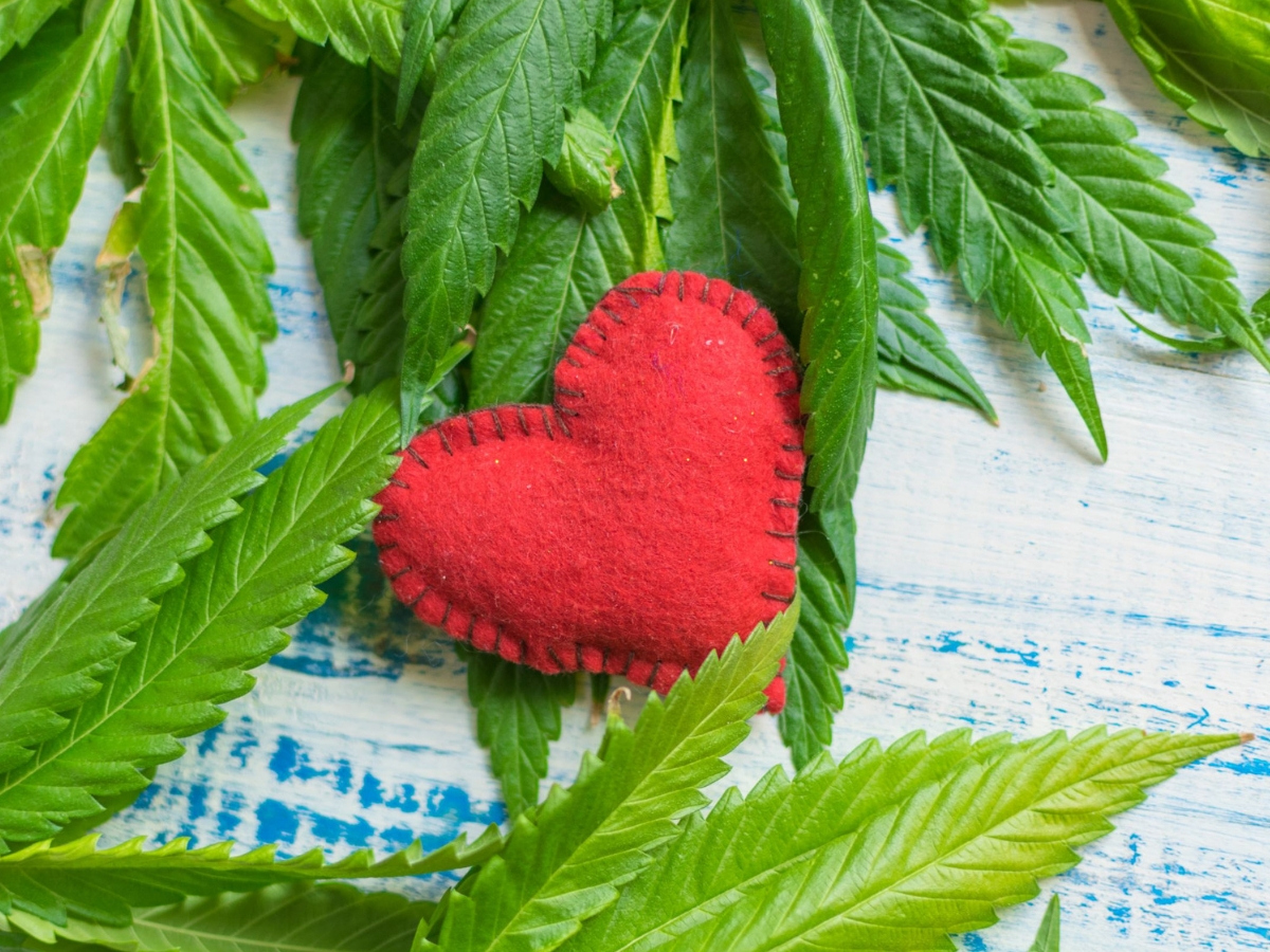 Natural Aid - Celebrate Cannabis-Themed Valentine's Day
