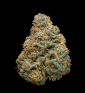 Pacific Stone Indica Flower at NaturalAid, Sunland