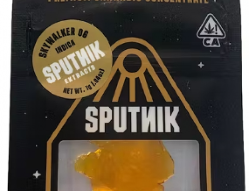 Four Different Types of Cannabis Concentrates