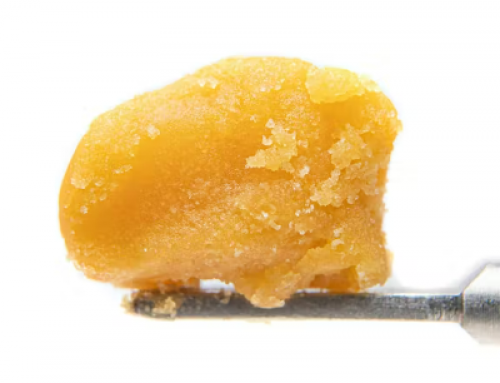 Do you Know these Facts about Cannabis Concentrates?