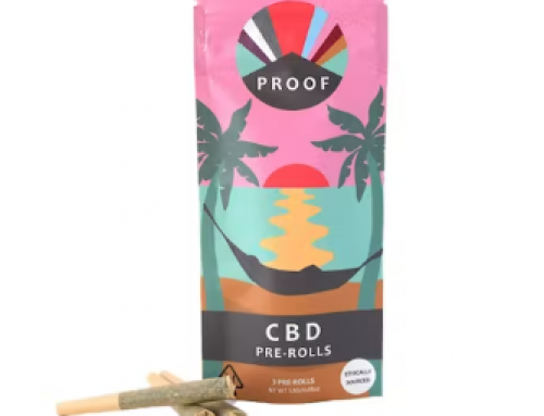 Drinks with Cannabis – How to Make CBD Oil Infused Golden Milk
