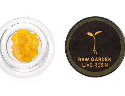Top 4 Earthy Flavor Cannabis Strains