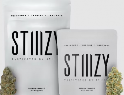 Say “High” to Morning – Cannabis-Infused Vanilla Milkshake – The Recipe