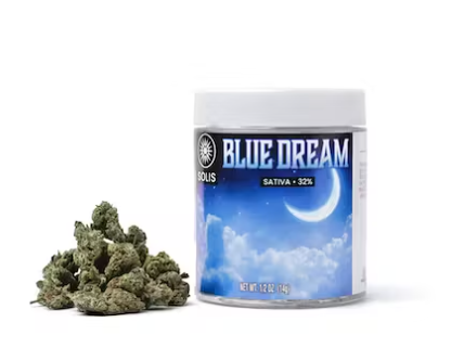 Blue Dream Flowers